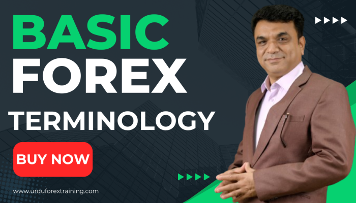 Basic Forex Terminology Basic Forex Terminology